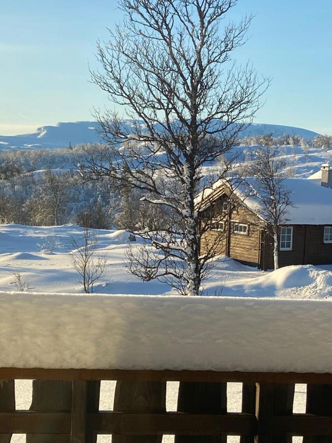 Storemyr By Norgesbooking - Cabin With Amazing View Myro Buitenkant foto